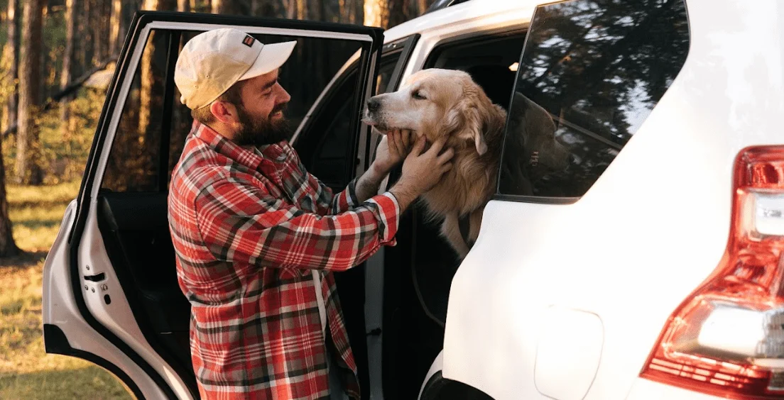 Akitas  Dog Safety Belt for Ford Edge