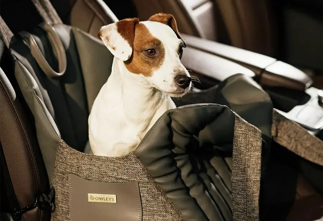 Chevrolet Malibu Dog Carrier Car Seat for Maltese